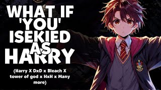 WHAT IF ‘YOU’ REINCARNATED AS HARRY POTTER & JOINED EVERY ANIME HEROS | harry x DxD x Bleach..