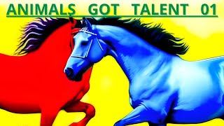 Animals Got Talent: Le performance comiche degli animali!