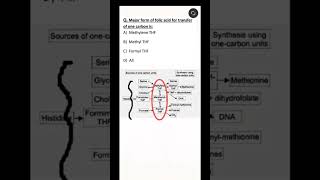 NEET PG #biochemistry MCQ || #neetpg