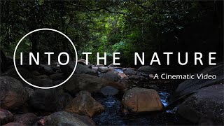 Nature - Cinematic Video / Into The Nature / Travel Around Short Film / Nature - Nikon D3300