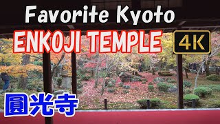 【Enkoji Temple 圓光寺 】Favorite Kyoto.🍁See Enkoji Temple in beautiful autumn.