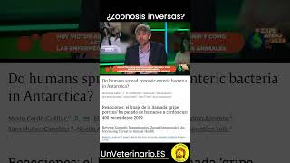 Sobre zoonosis inversas ¿Sabías que los humanos también podemos ser transmisores de enfermedades?