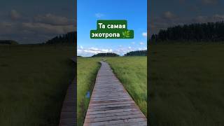 Экотропа «Сестрорецкое болото». Моя мечта сбылась 🤟