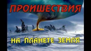 Новости сегодня 03.04.2023, Катаклизмы,Ураган,Цунами,Наводнения,пожар,землетрясение,вулкан.