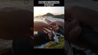 spot rock fishing #shorts #popping #rockfishing #landbasedfishing #landbase #extremfishing