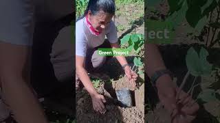 Green Project of Green Sky Neighborhood | #shorts #treeplanting