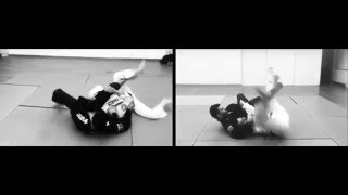 Jiu Jitsu move of the week