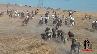 Campero en Navas  de Oro por Yo Taurino