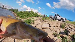 Sunday flattie on Ohio River 6-13-21