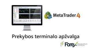 Kaip naudotis terminalu Metatrader 4?