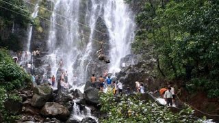 Amboli Today   ........ 22/07/2021