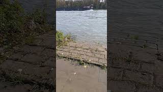 das #schiff Avanti mit dem Bak Avanti 2 auf Bergfahrt auf dem #rhein Teil 1 #shortsvideo #shorts