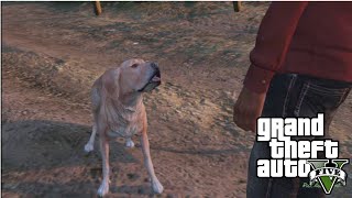 Grand Theft Auto 5 - Franklin Side Mission Walkthrough Gameplay (PS4)