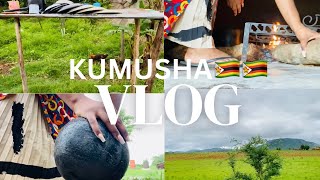 KUMUSHA VLOG | Village life | Life in the village