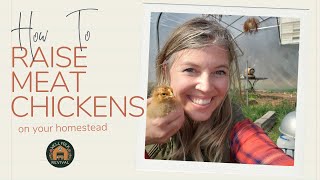 How to Start Your Homestead Meat Bird Flock