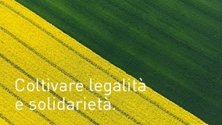 Viaggi d'autore - Coltivare legalità e solidarietà