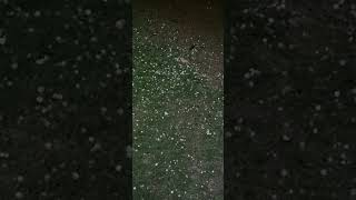 Hailing in Islamabad | Rain in Islamabad | Yt shorts