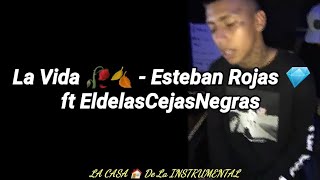 La Vida 🥀🍂 - Esteban Rojas 💎  ft EldelasCejasNegras