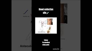 Blood collection sites