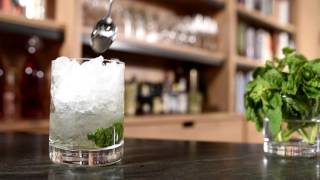 Silver Julep Cocktail - Cocktail Recipes