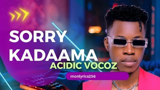 Sorry Kadaama -Acidic Vocoz (Lyrics video)