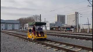 Railroad vehicle inspection trolley