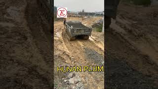 Hunan Plum crawler dumper for construction transportation