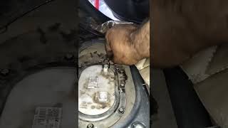 Hyundai Elantra need replace fuel filter