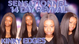 5 Minute Revival! | Wig Maintenance Tips