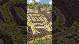 Weymouth Greenhills Garden, overlooking Seaview with the Save the King flowers.