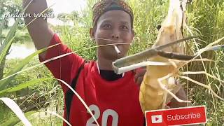 Spot menarik udang galah super gede || Spot attracts a super big modified gaff shrimp