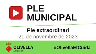 Ple extraordinari del 21 de novembre de 2023