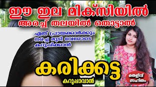 മിക്സിയിൽ അരച്ച് തേച്ചു നോക്ക് ഒറ്റ ദിവസം മതി 😱/hair care /muringa ila /poppy vlogs/malayalam