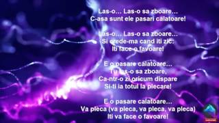 Vescan feat. Florin Ristei - Las-o... -VERSURI-LYRIC-