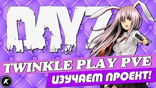 DAYZ ОБЗОР | ИЗУЧАЕМ ПРОЕКТ TWINKLE PLAY PVE | #dayz