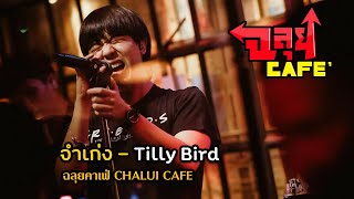 จำเก่ง - Tilly Bird @ฉลุยคาเฟ่ เชียงใหม่