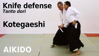 Aikido technique KOTEGAESHI against knife attacks, TANTO DORI, by Stefan Stenudd in 2007