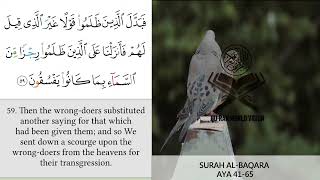 SURAH AL BAQARA TRANSLATION AYAH ( 41 -65 ) Relaxation quran meaning