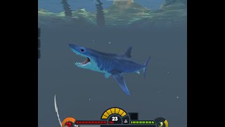 Mako Shark Survival Feed and Grow:Fish