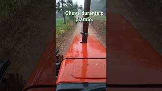 Massey Ferguson 650. Chuva durante o plantio.