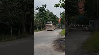 Bus Siliwangi Antar Nusa #shorts #siliwangiantarnusa #ayonaikbus