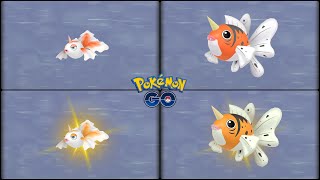 Pokemon Go: Evolving Normal & Shiny Goldeen into Normal & Shiny Seaking