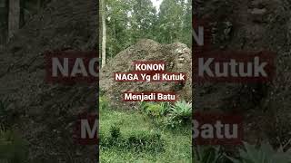 Konon NAGA yg di Kutuk Menjadi Batu