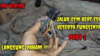 jalur kabel ecm beat esp part 1