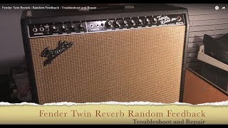 Fender Twin Reverb - Random Feedback - Troubleshoot and Repair