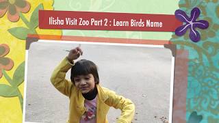 Princess Ilisha  Visit Zoo : Learn Birds Name