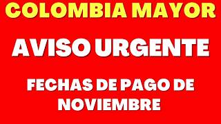 🔔📅 COLOMBIA MAYOR INFORMACIÓN FECHAS DE PAGOS NOVIEMBRE