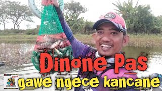 Kembali ke Waduk Srirande || edisi cari ikan mudah diselamatkan