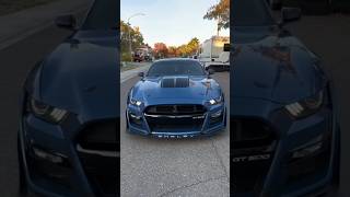 menggelegar suara mobil sedan mustang Shelby #shortvideo #viral