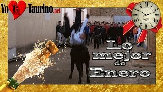 📅 🔙 Lo mejor de Enero 💿 🎄 TOROS BRAVOS